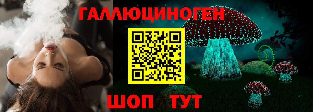 Галлюциногенные грибы Psilocybine cubensis  Вход с VPN  Новый Уренгой 