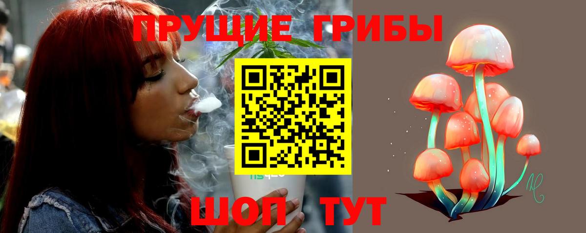 Галлюциногенные грибы Psilocybine cubensis Новый Уренгой